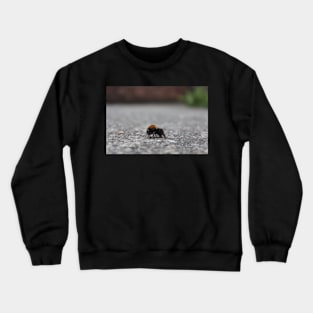 Bee Photograph Macro Close Up Crewneck Sweatshirt